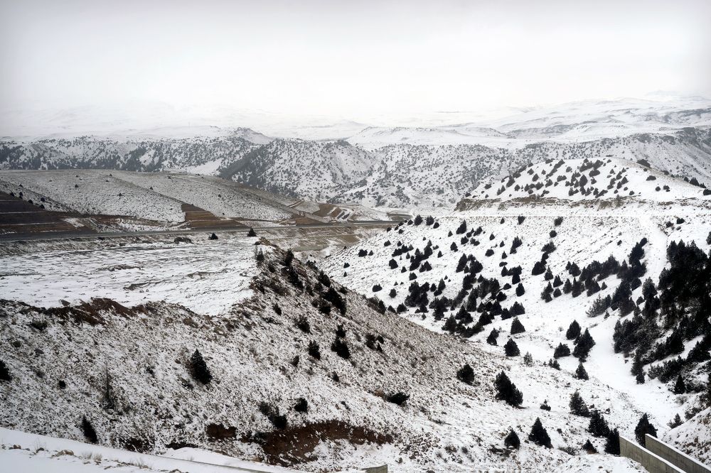 Photograph by Дашдемир Мамедов