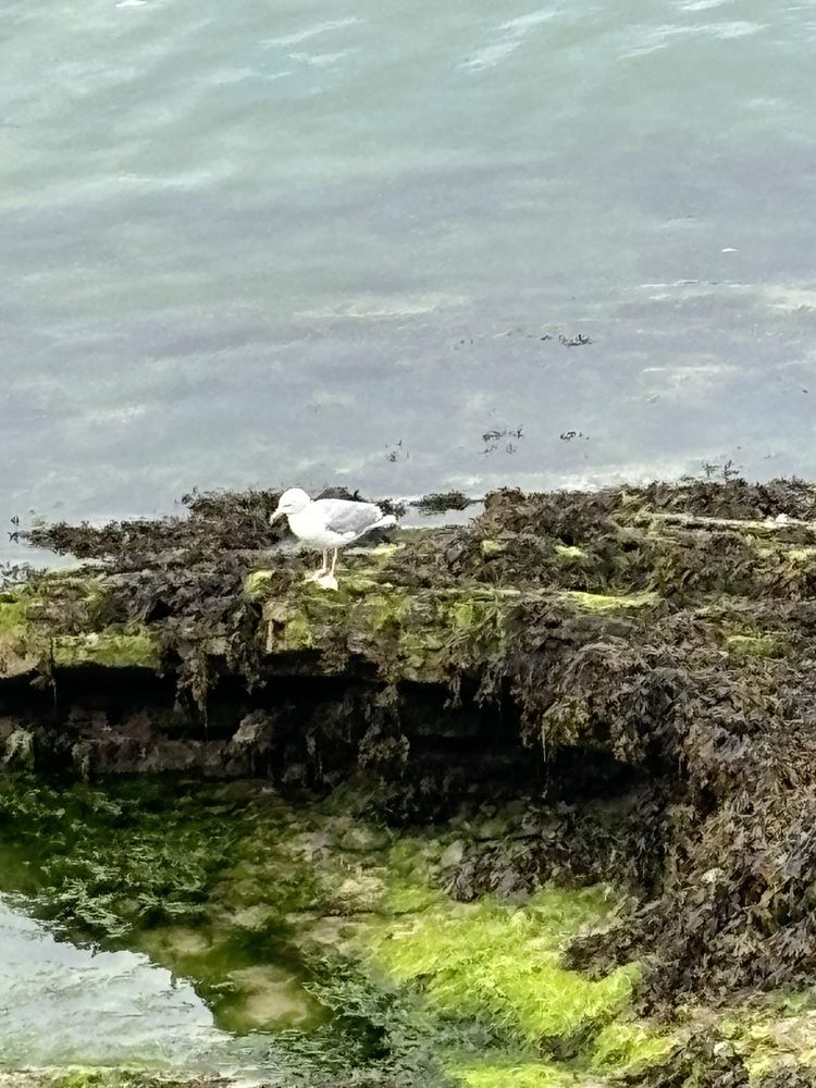 Photograph by Zora Lilia