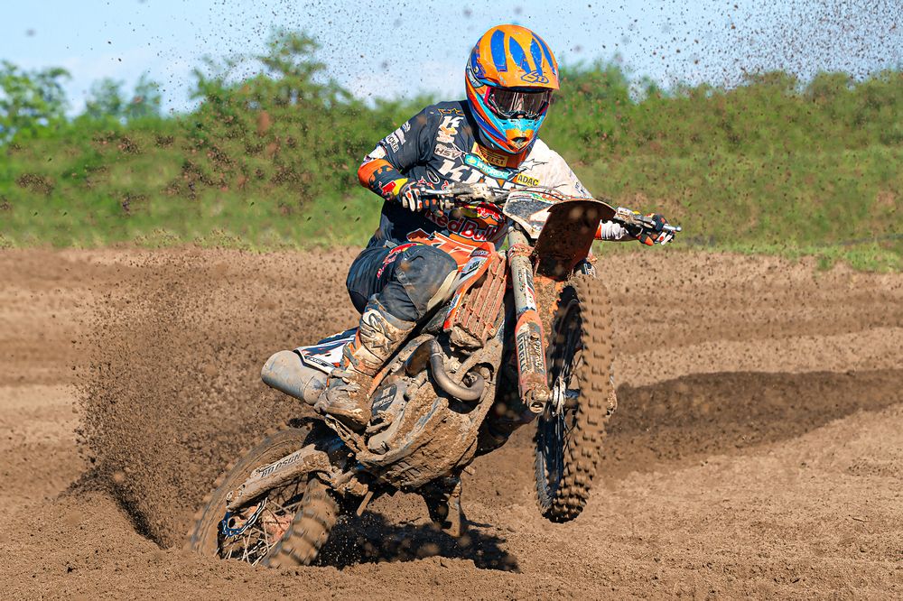 Фотография автора Faller Tamás