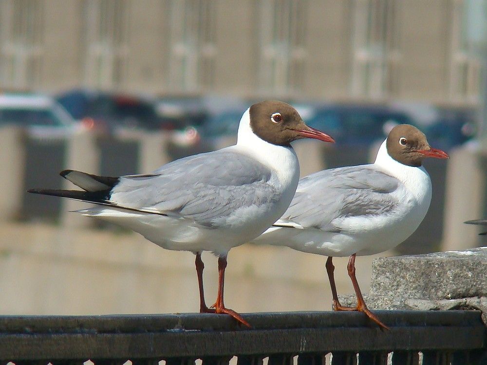 Photograph by Zakharov Matvey