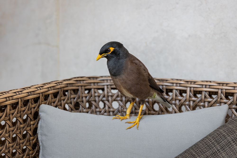 Photograph by Алексей Шматков