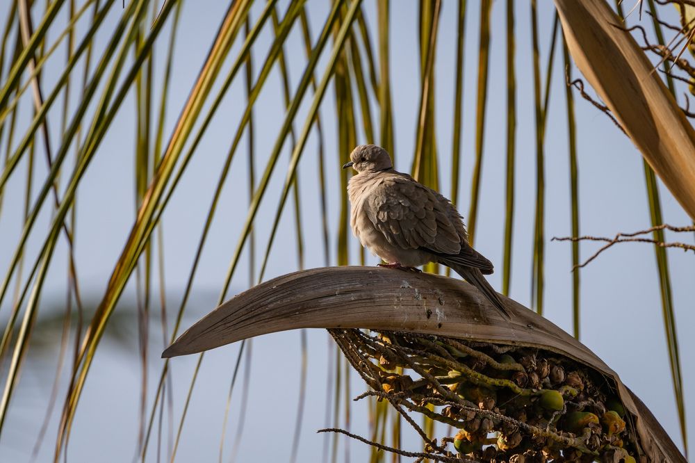 Photograph by Алексей Шматков