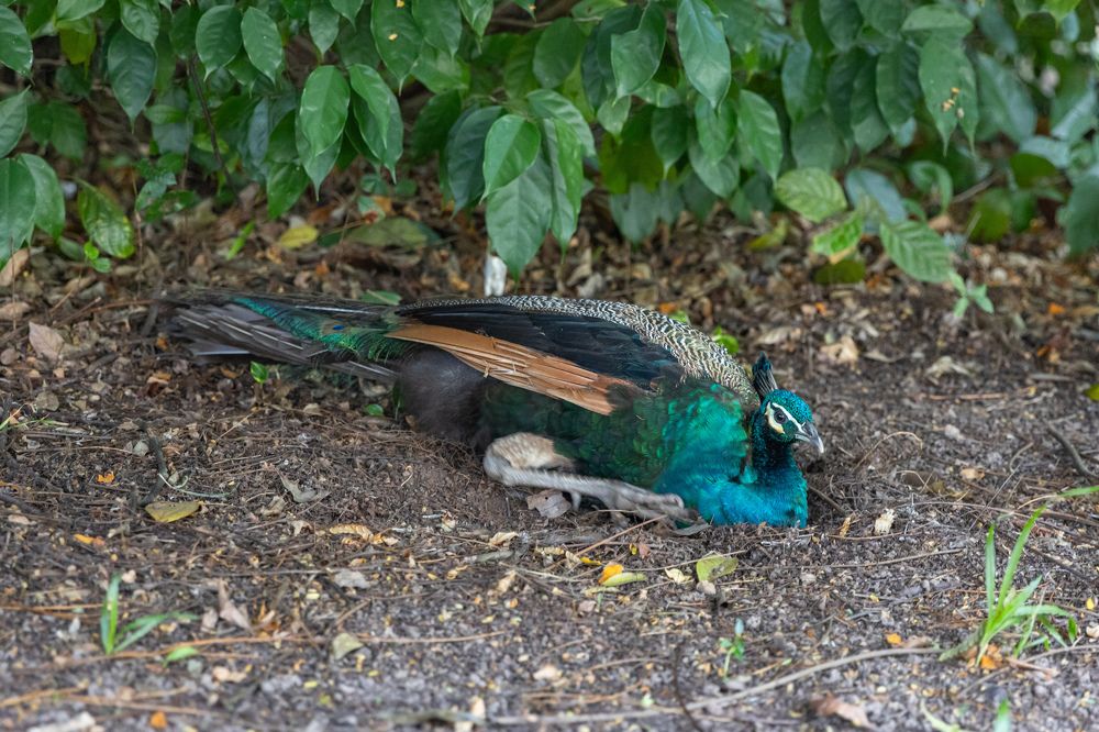 Photograph by Алексей Шматков