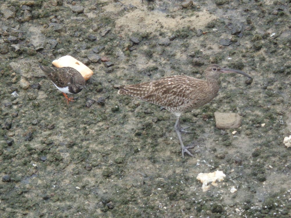 Фотография автора Nieves Gloria Alvarez Diaz