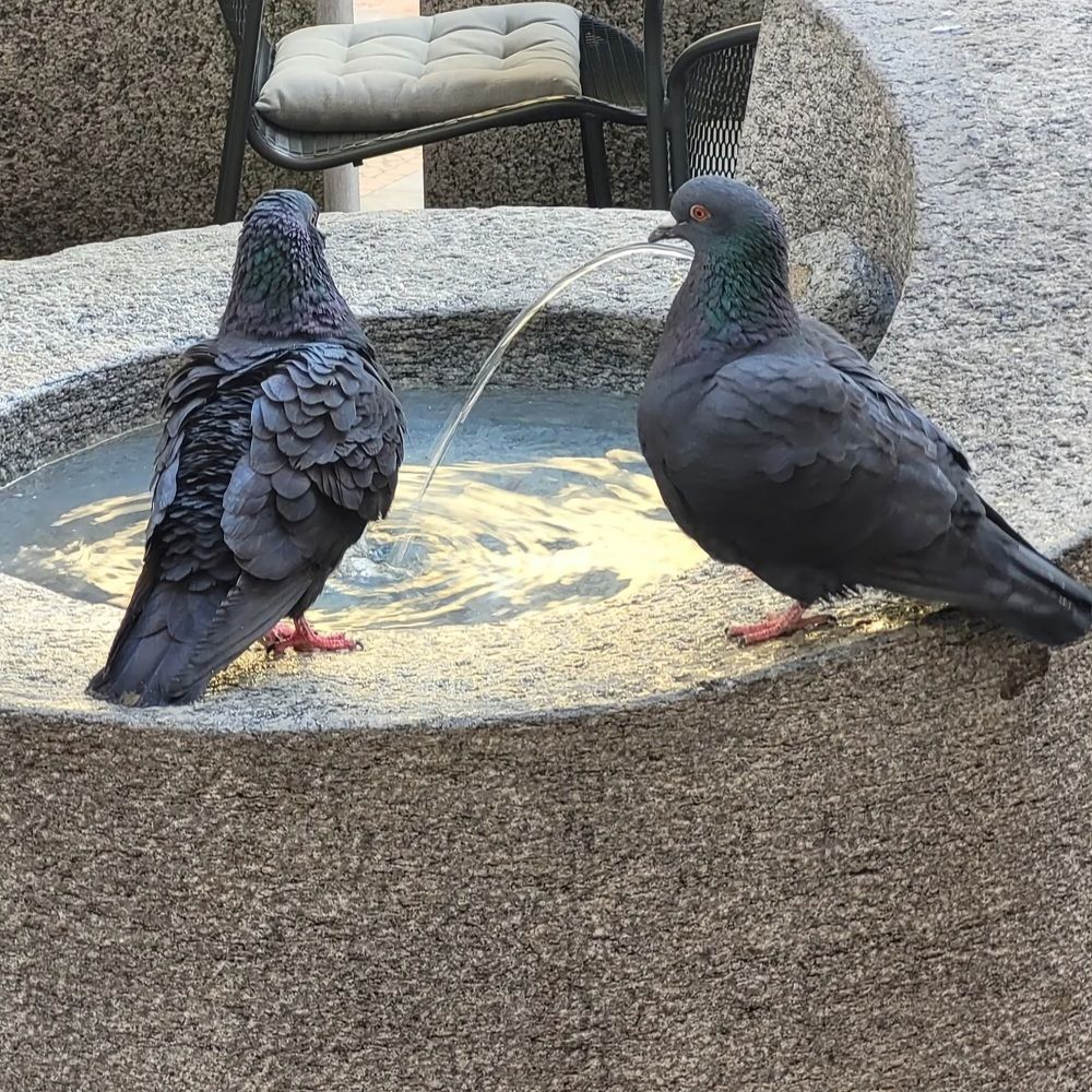 Photograph by Catherine Walter-Prêtre