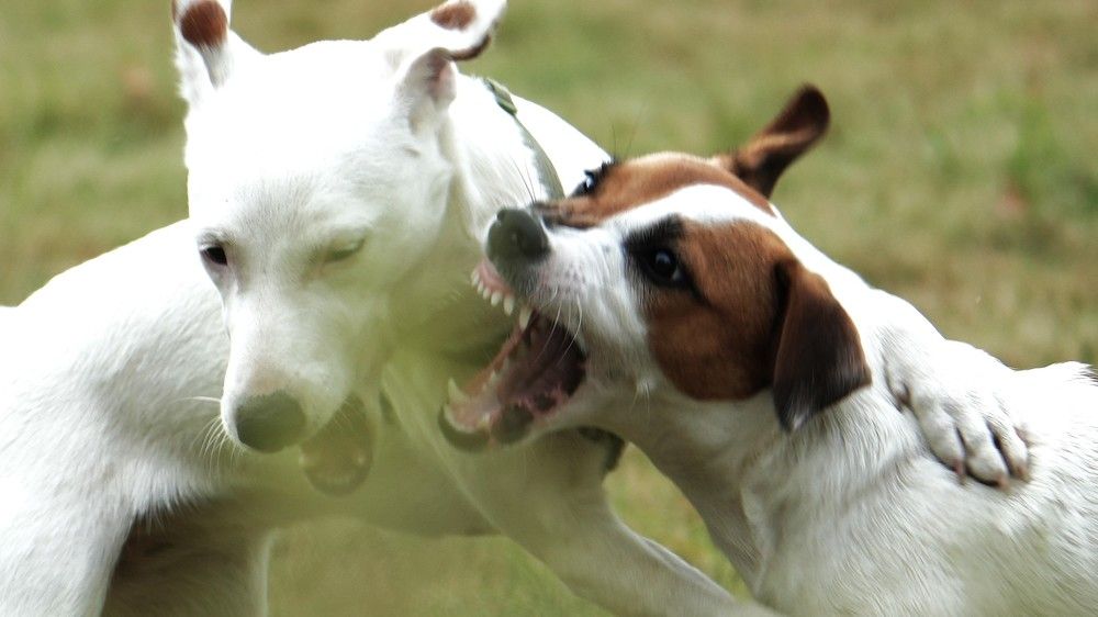 Photograph by Михаил Трусов