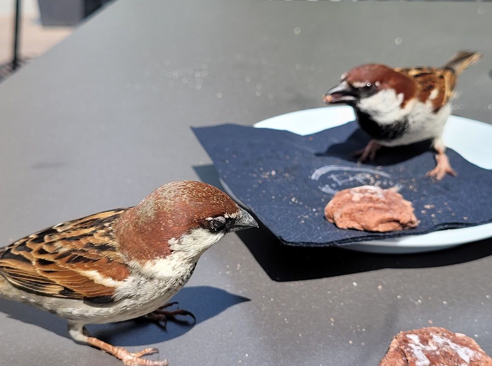 Photograph by Catherine Walter-Prêtre