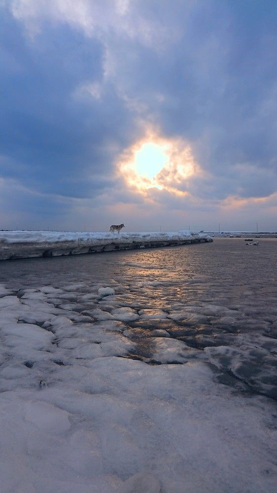 Холодный закат.