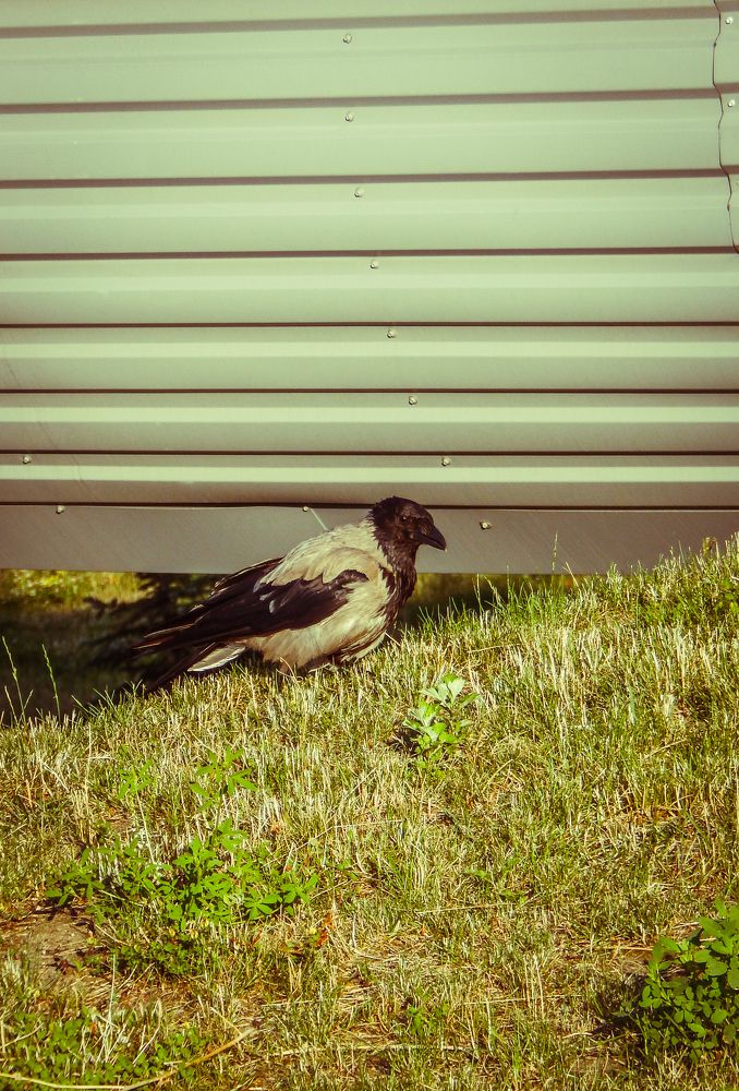 Photograph by Alexey Nuzha