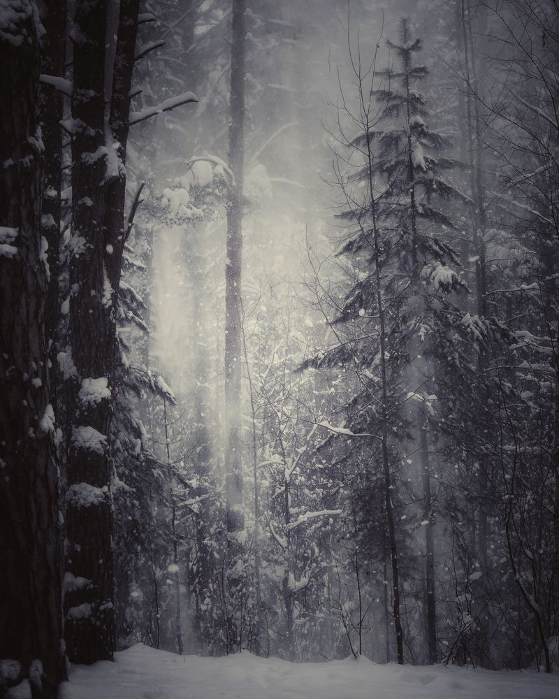 Photograph by Кира Бахвалова