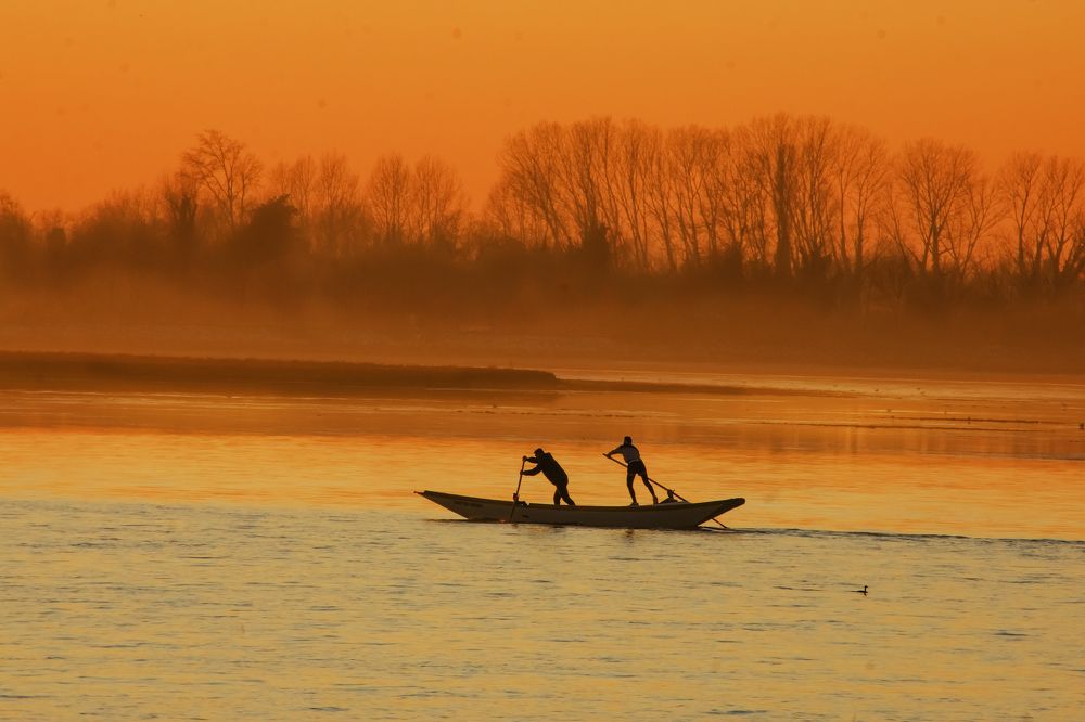 Фотография автора MANOJ MADHUSOODHANAN