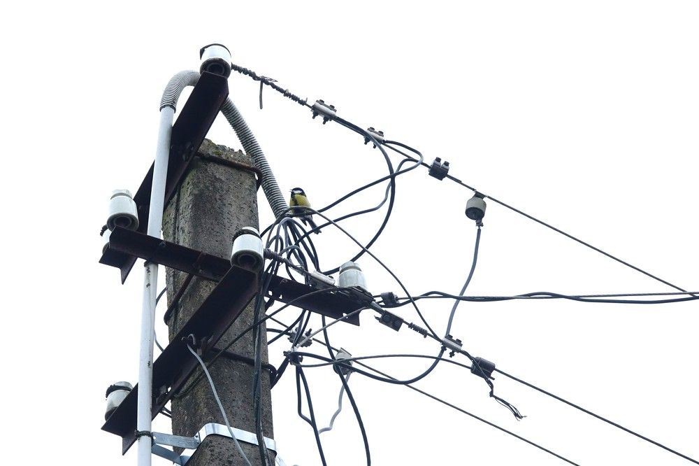 Photograph by jelena konickaja