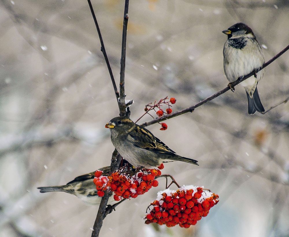 Photograph by Алексей Патлах