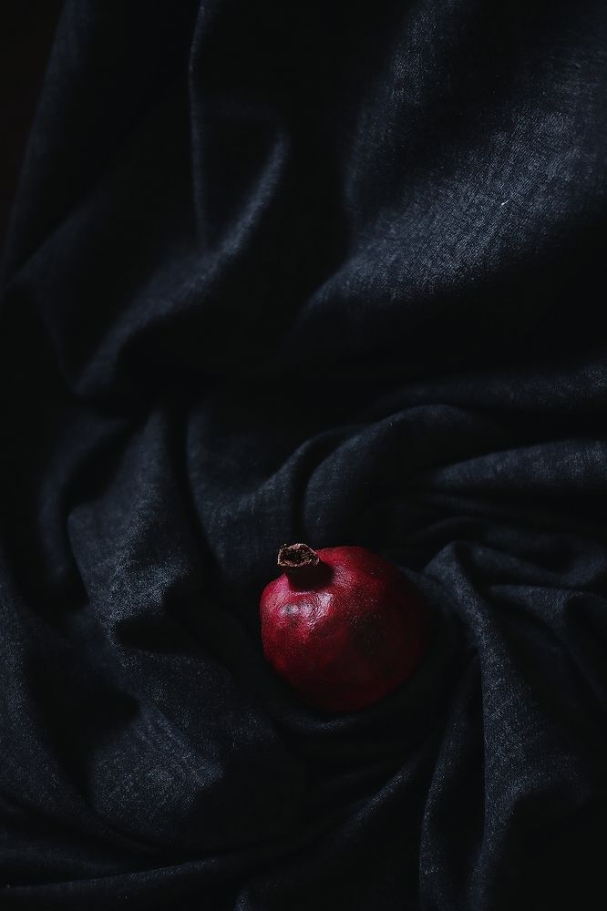 Фотография автора Светлана Алехина