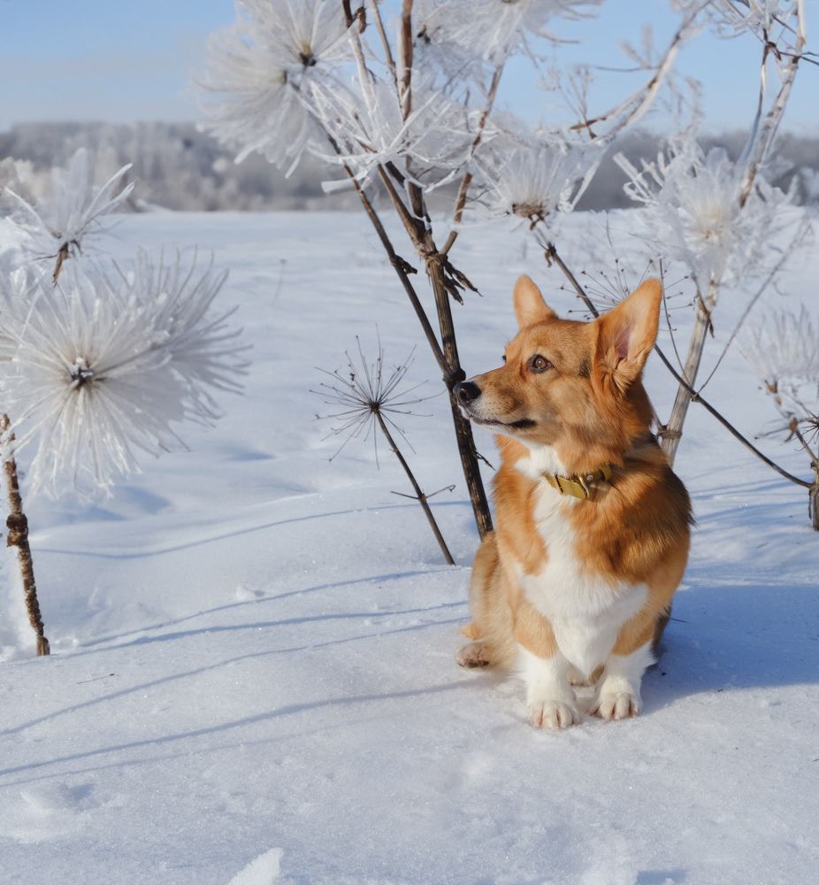Photograph by Валерия Дурнева