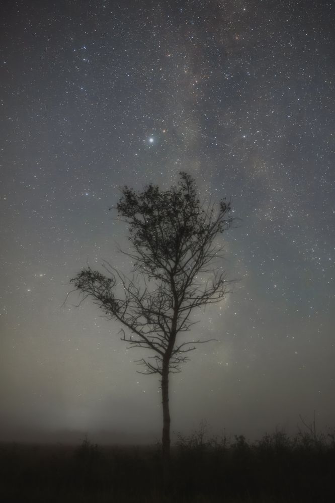 Photograph by Владимир Портуаров