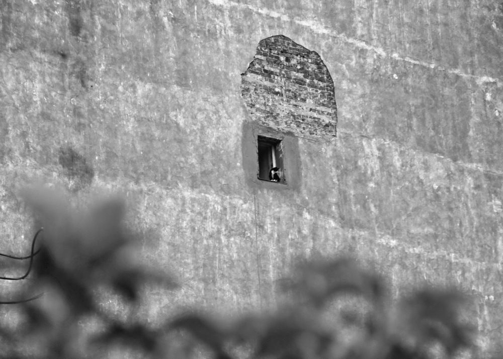 Photograph by Станислав Староверов