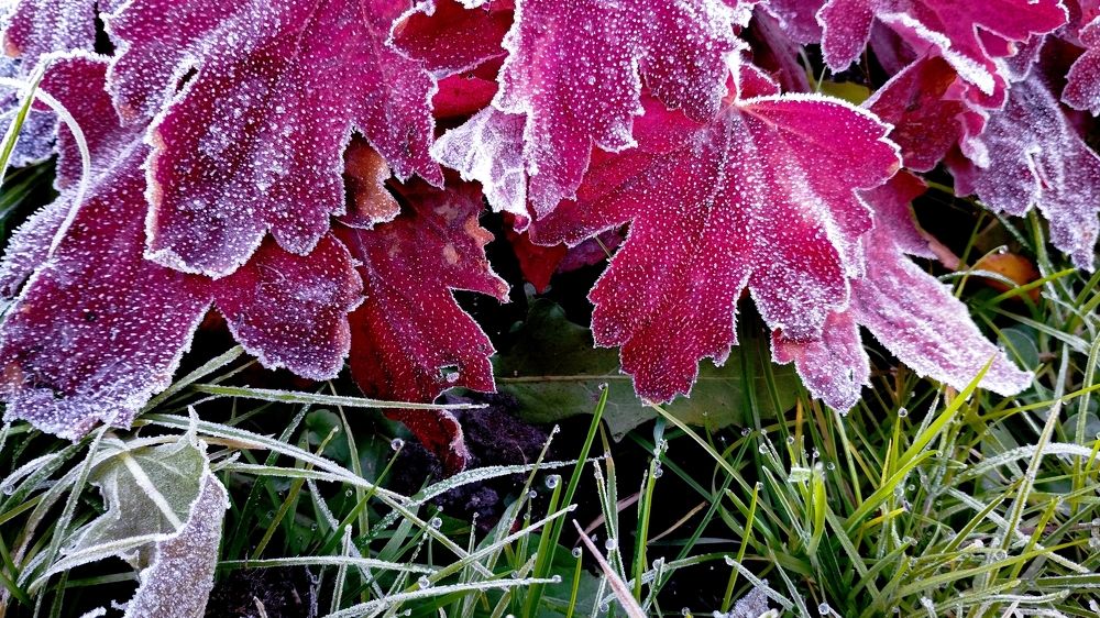 Photograph by Ксения Моськина