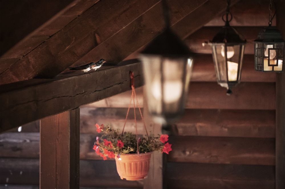 Photograph by Nephotograph