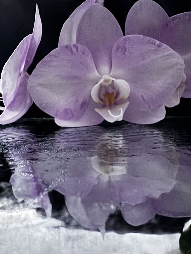 Photograph by Бойкова Наталия