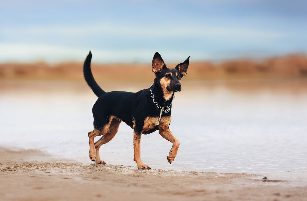 Photograph by Veronika Martinková