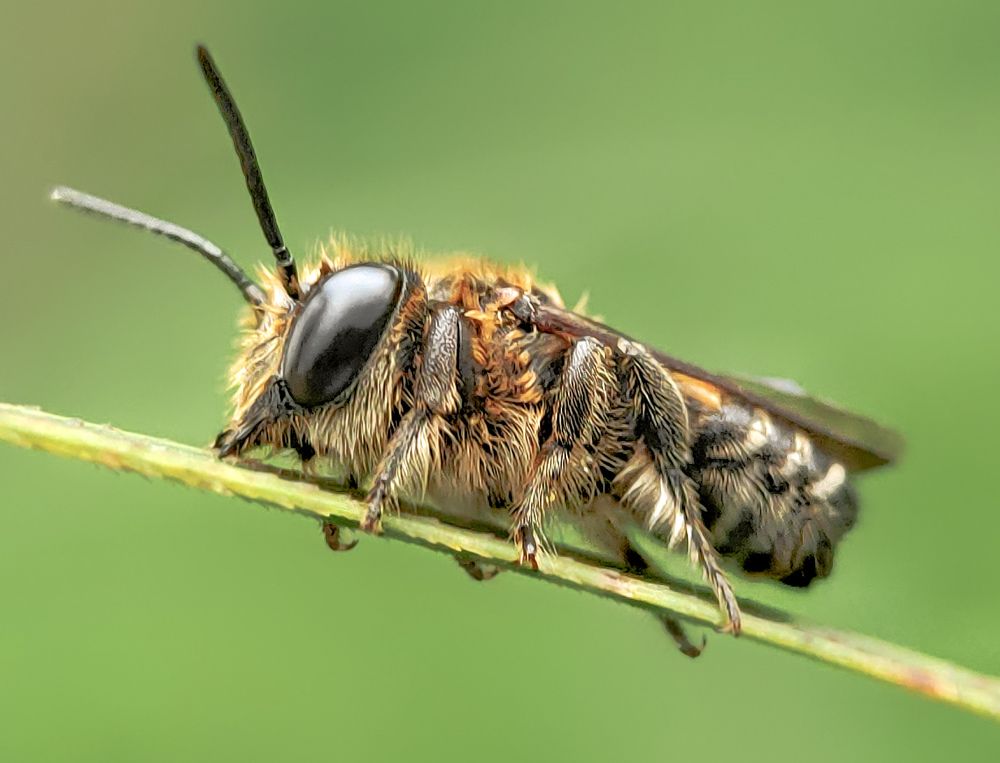 Photograph by virgilio Arquelola jr