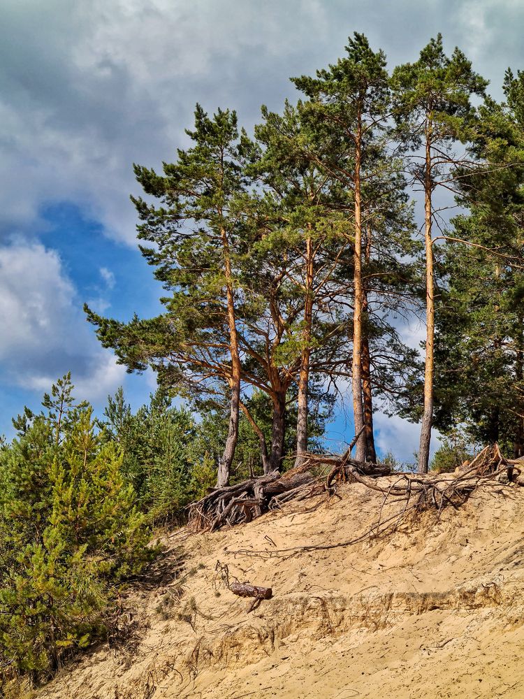 Photograph by Людмила Григорьева