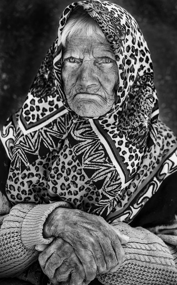 Photograph by Saeed Erfany