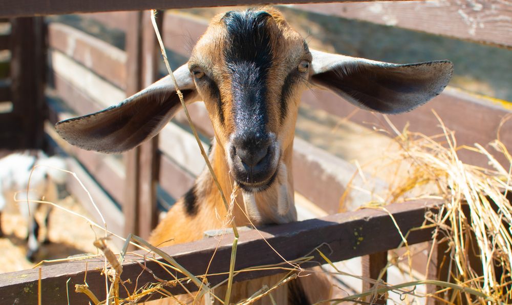 Photograph by Владимир Жигулин