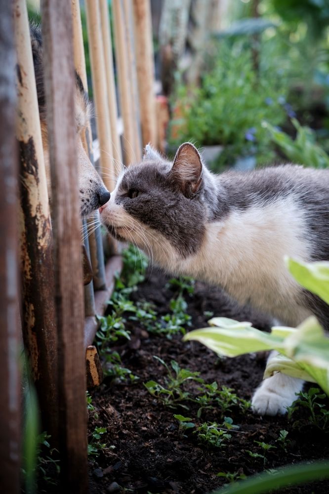 Photograph by Багурский Алексей