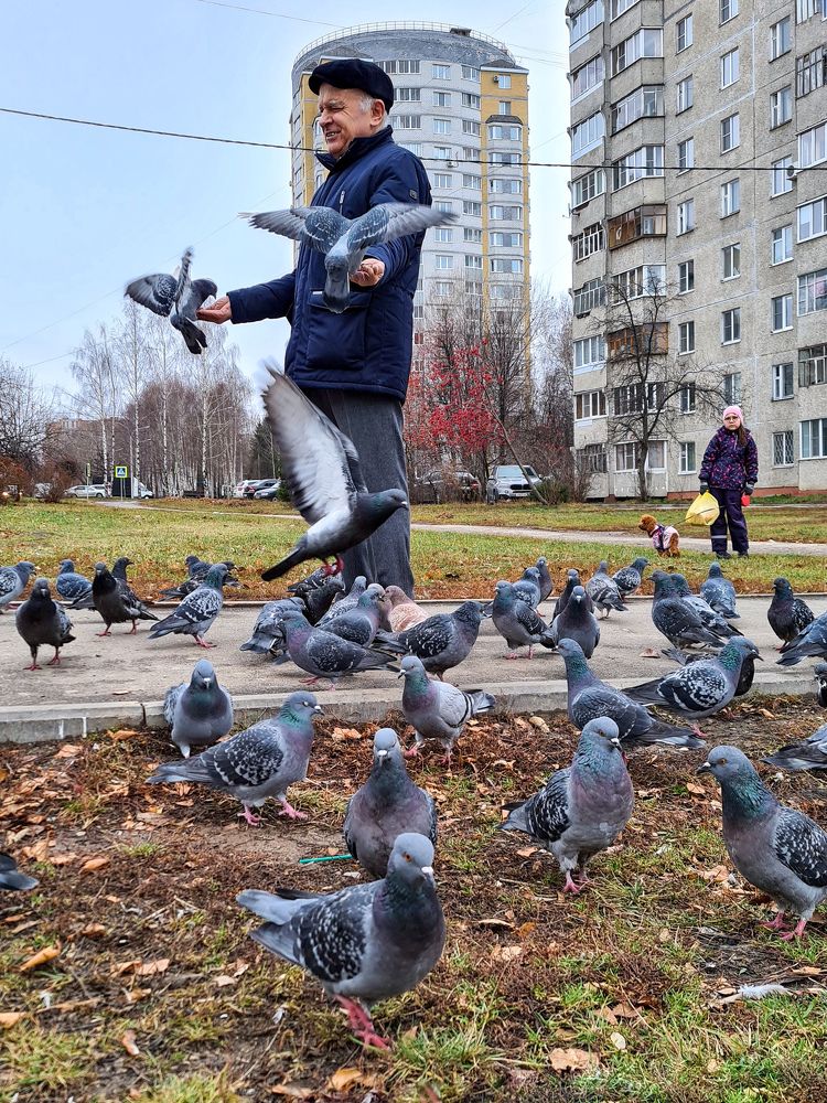 Photograph by Людмила Григорьева