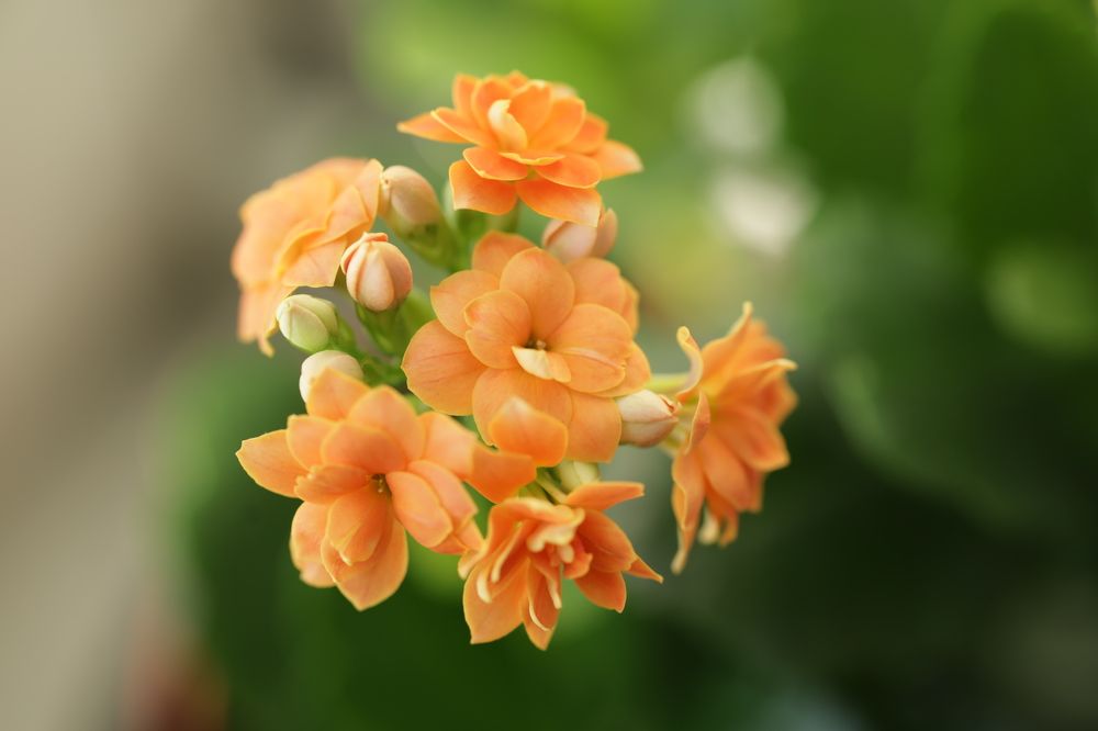 Photograph by Оксана Макрушина