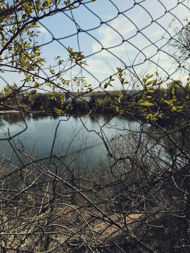 Фотография автора Екатерина Солодовник