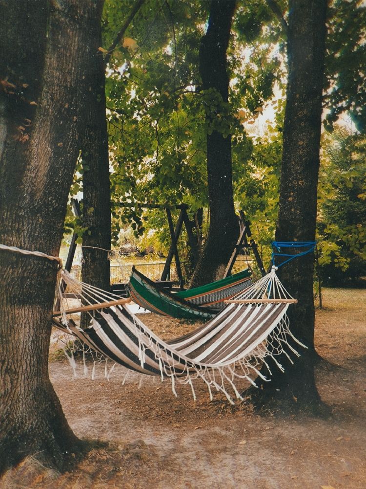 Фотография автора Екатерина Солодовник