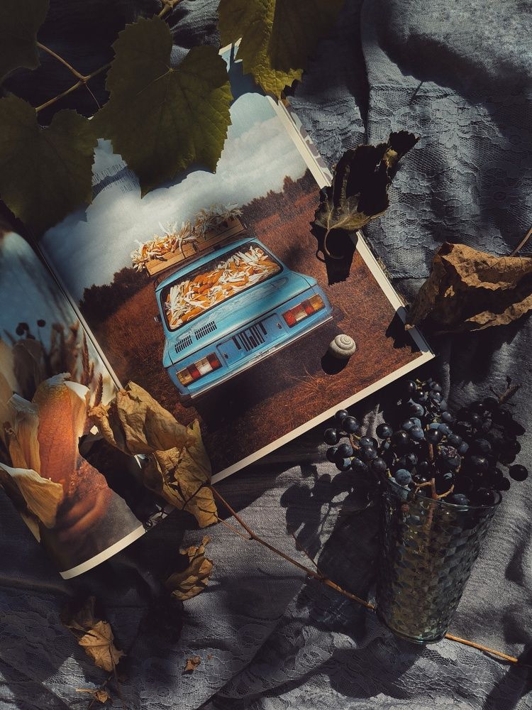 Фотография автора Екатерина Солодовник