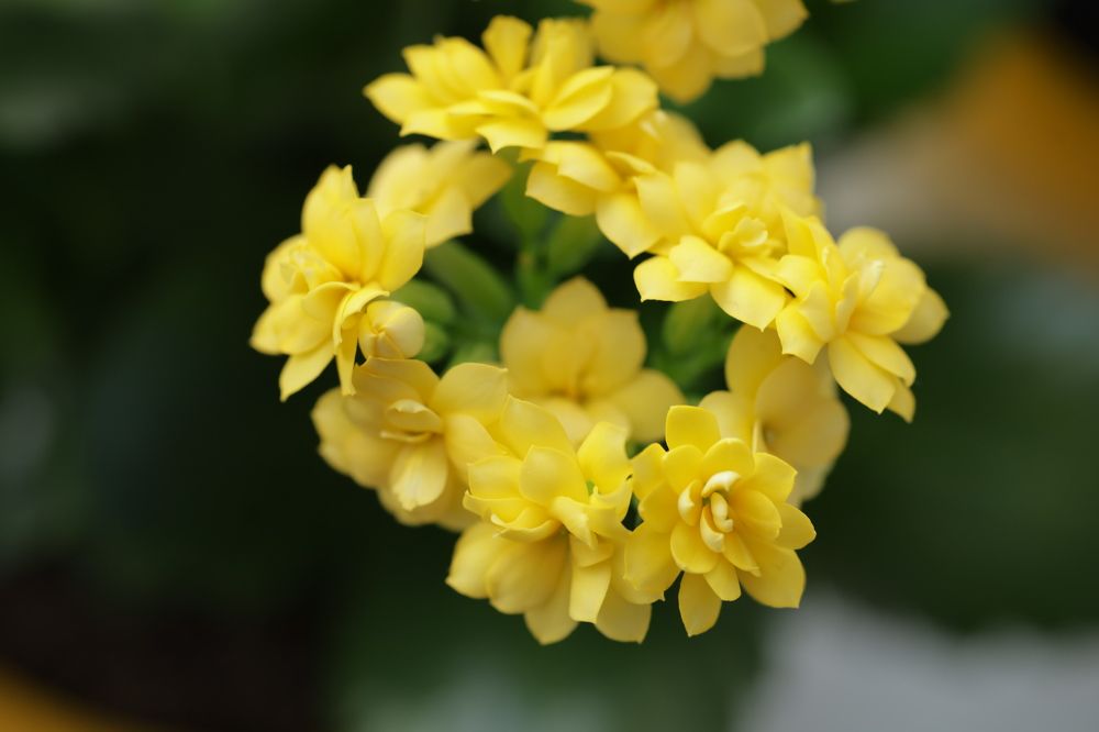 Photograph by Оксана Макрушина