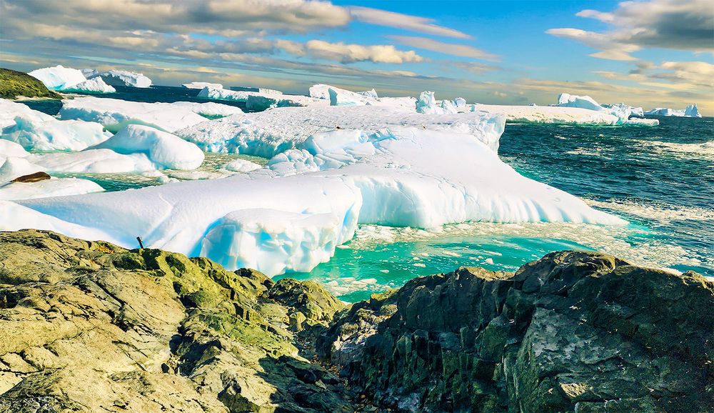 Фотография автора Bhupender Gupta