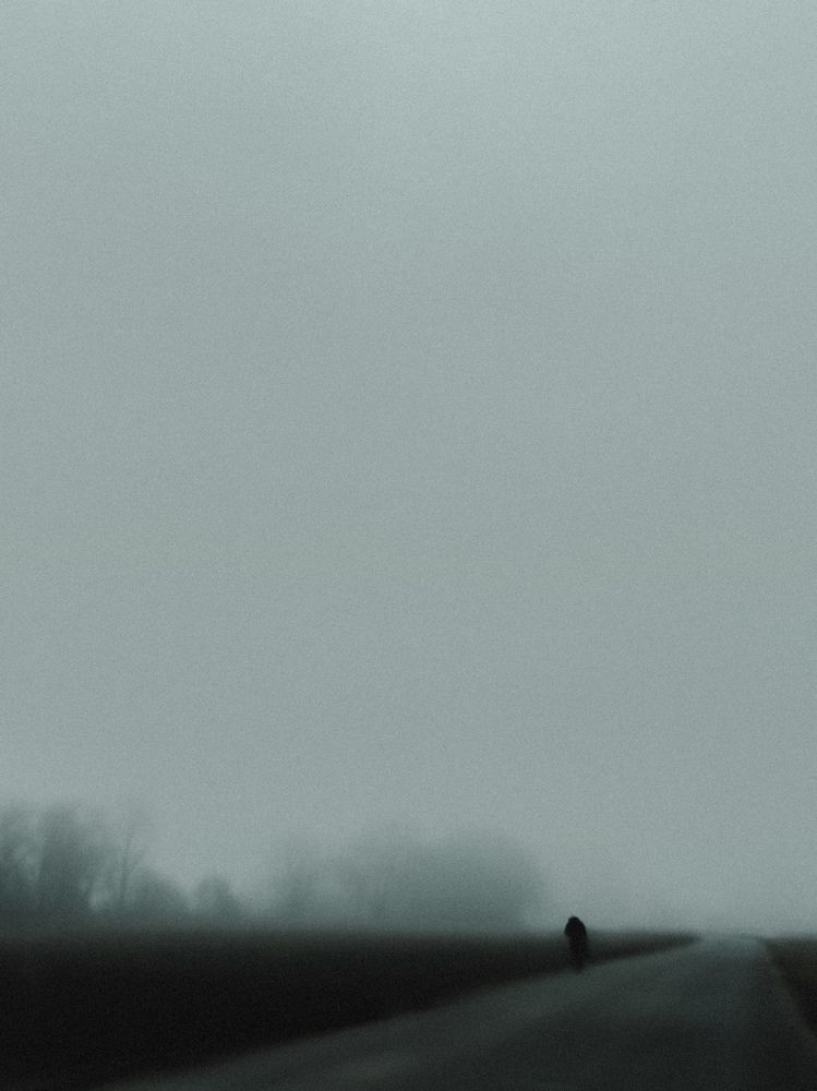 Фотография автора Алиса Исаева