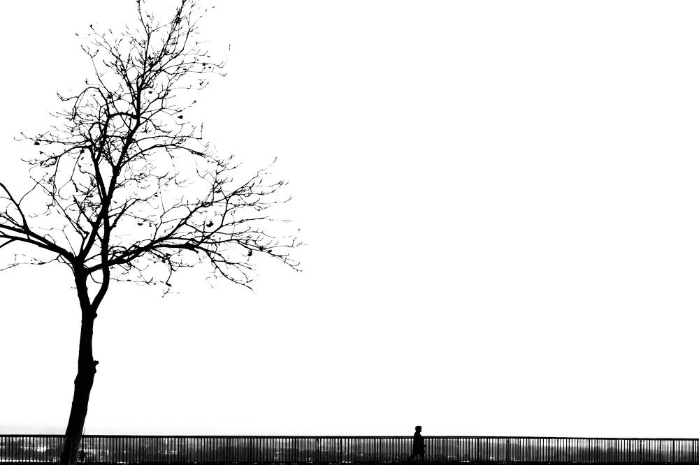 Фотография автора Романов Олег