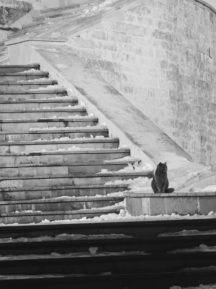 Photograph by Серж