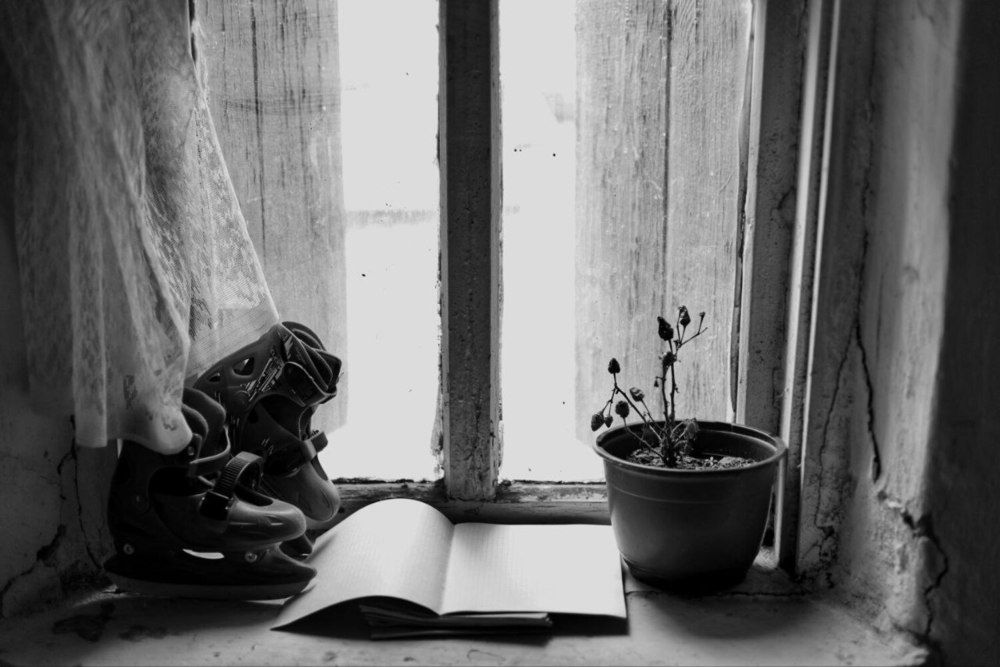 Photograph by Софья Захарченко