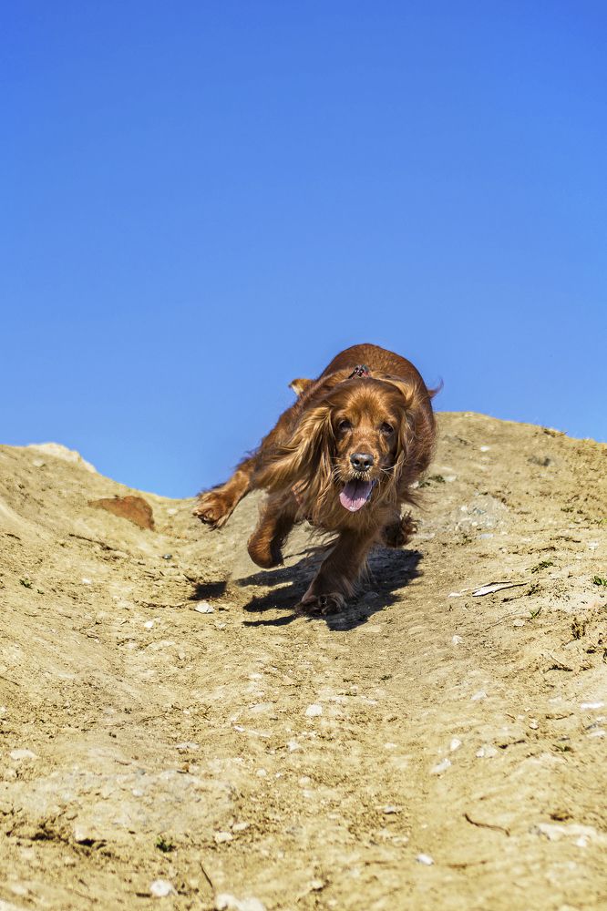 Photograph by Victoria Mogulyan