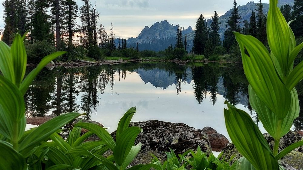 Photograph by Багурский Алексей