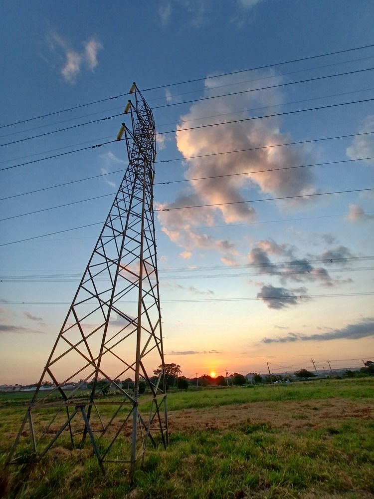 Photo #11760949