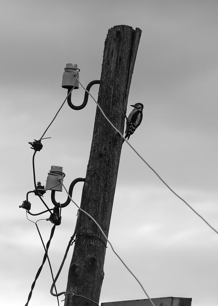 Photograph by Дмитрий Ткаченко