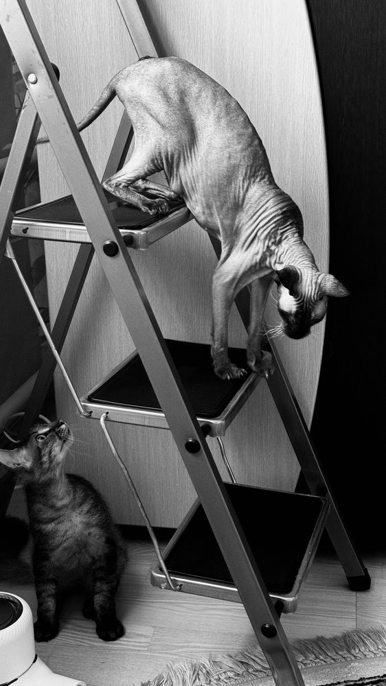 Photograph by Светлана Родионова