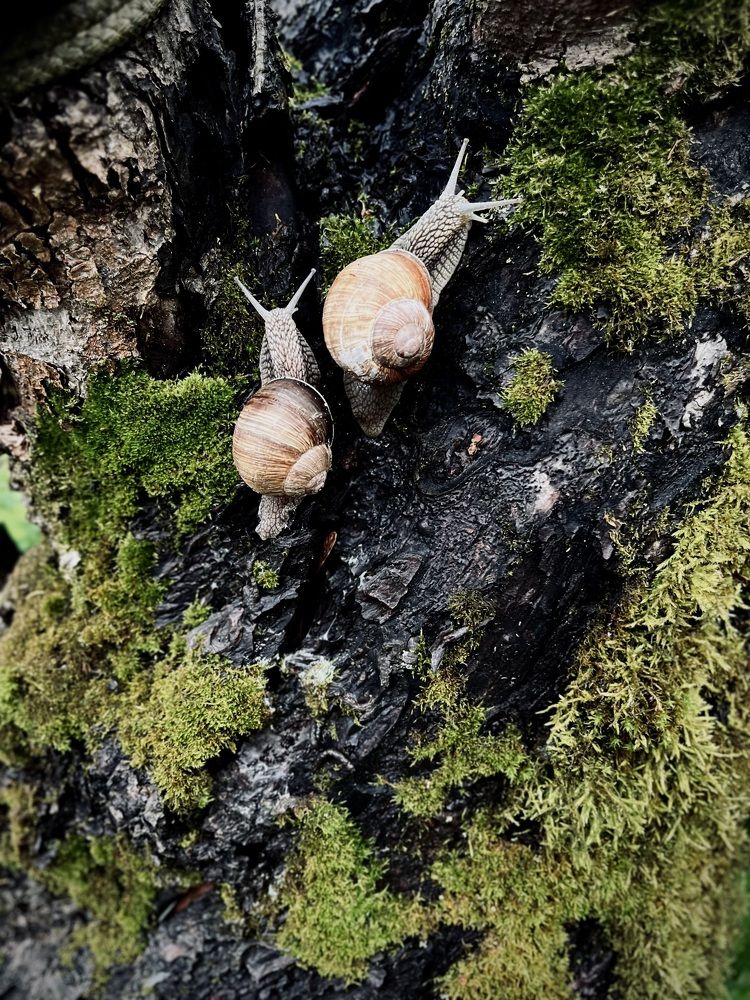 Photograph by Светлана Родионова