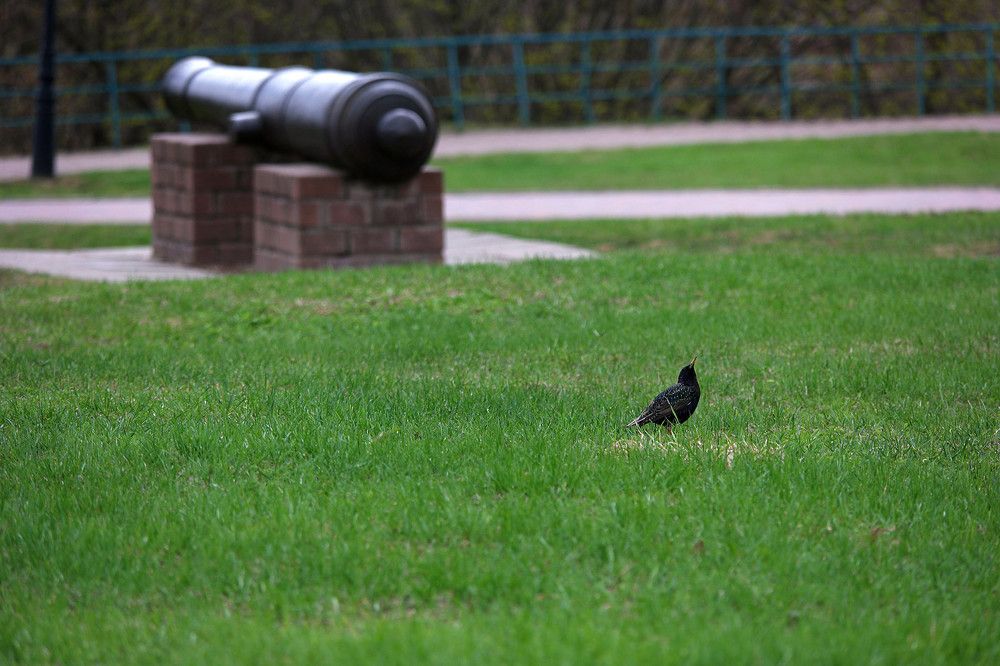 Photograph by Дмитрий Ткаченко