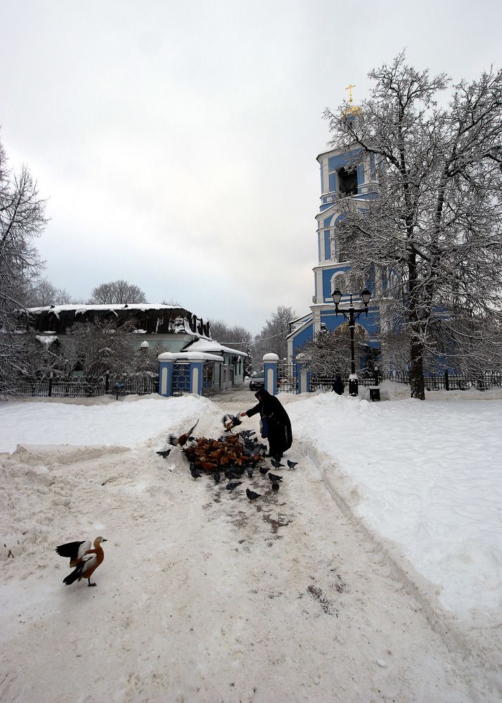 Photograph by Дмитрий Ткаченко