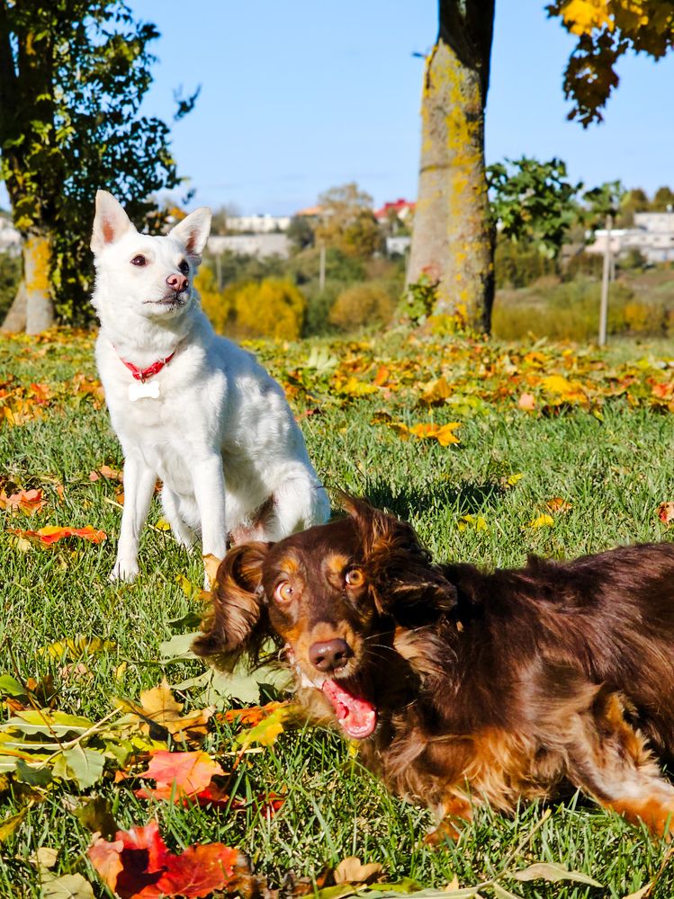 Фотография автора Ольга Шишук